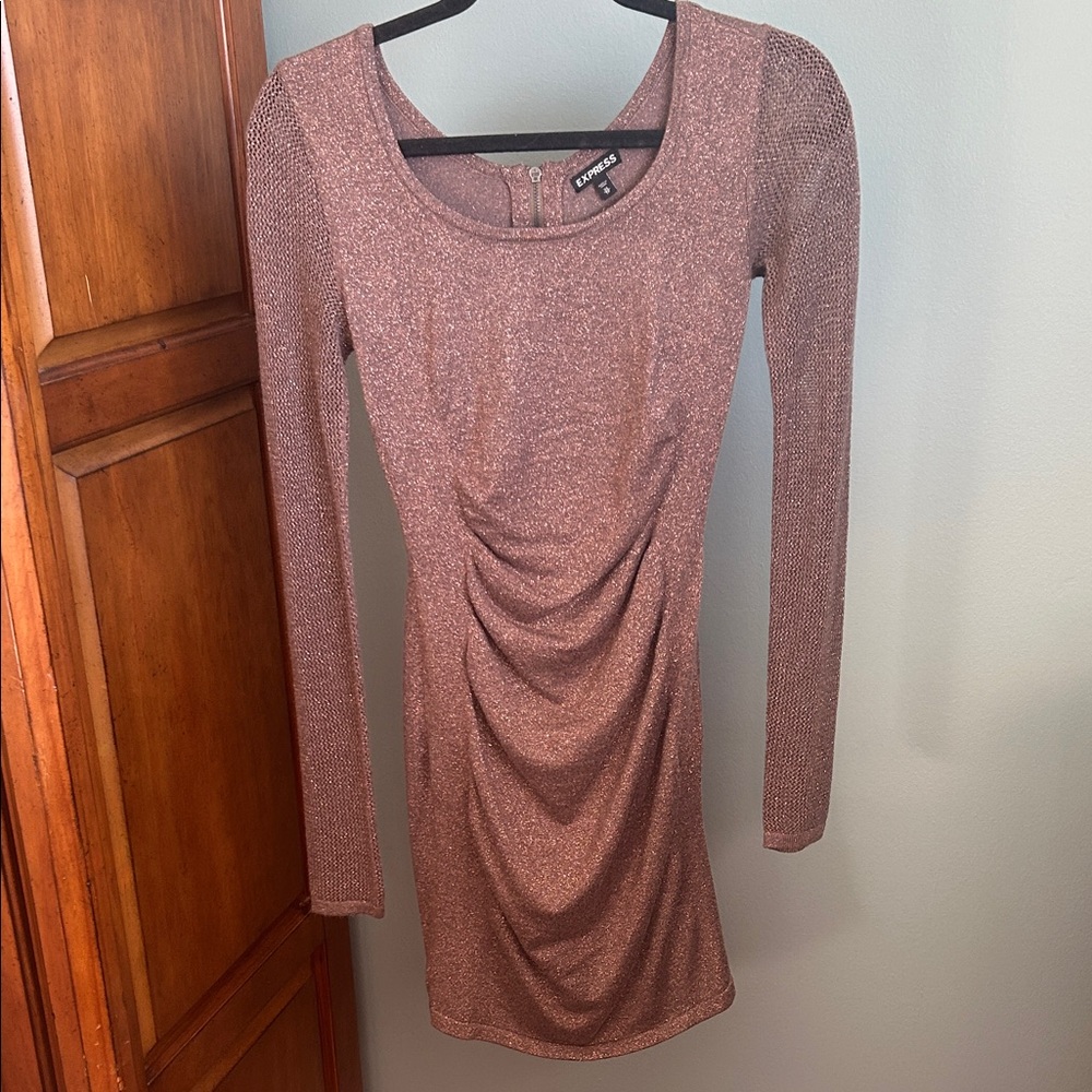 Express Shimmering Brown Long-Sleeve Dress